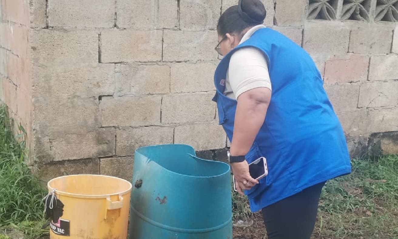 Minsa reporta aumento de casos de dengue y alerta sobre defunciones por influenza